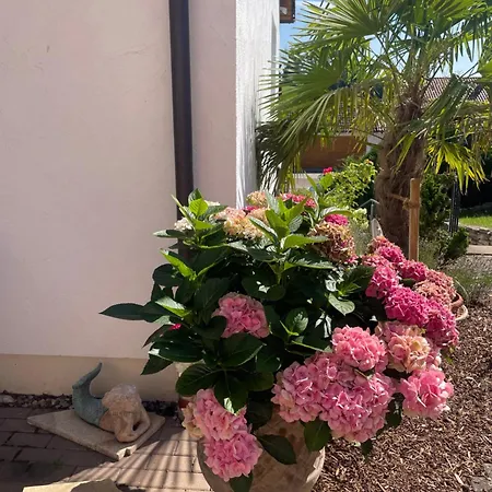 Mit Blick Auf Abteikirche