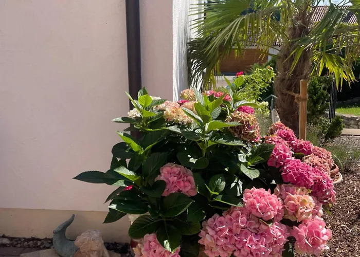 Mit Blick Auf Abteikirche